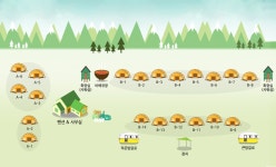솔향기 캠프