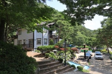 영월 솔향기 캠핑장