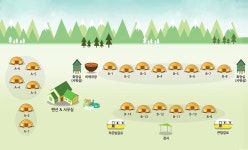 영월 솔향기 캠핑장 고캠핑