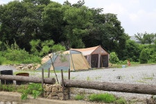 포레스트 캠핑장 고캠핑