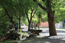 철이네캠핑장 고캠핑