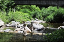 철이네캠핑장 고캠핑