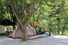 자연과함께 펜션캠핑장 고캠핑