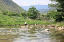 자연과함께 펜션캠핑장 고캠핑
