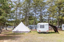 몽산포오션캠핑장