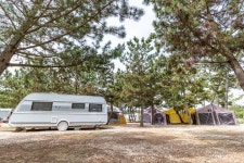 몽산포오션캠핑장 고캠핑