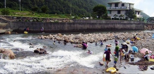 소나무 풍경 펜션 야영장 고캠핑