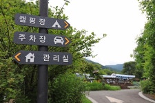 잣향기푸른숲캠핑장 고캠핑