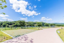 금호강 오토캠핑장 고캠핑