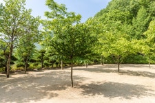 에버그린 캠핑장