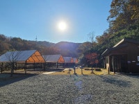 양양 포레스트캠핑장 고캠핑