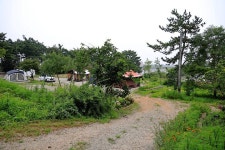 대부도 아라뜰 캠핑장 고캠핑