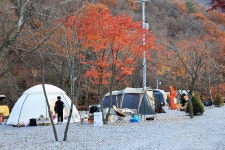 화기애애 단풍 캠핑장 고캠핑