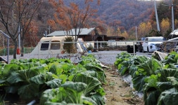 화기애애 단풍 캠핑장