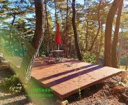 한반도 솔숲 쉼터