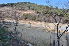 블루베리관광농원 베리굿 오토캠핑장