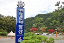 태백 눈꽃 야영장 고캠핑