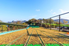 문경 단산 숲속 캠핑장