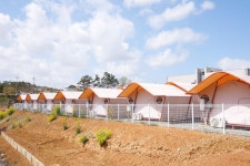 가로림글램핑 & 풀빌라펜션