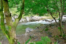 무주 별빛 카라반 고캠핑