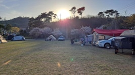 세울터 오토캠핑장 & 펜션 고캠핑