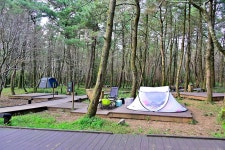 붉은오름 자연휴양림 숲속 야영장 고캠핑