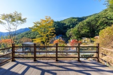 문수산 자연휴양림 야영장