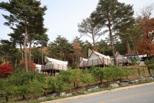 숲속야영장 고캠핑