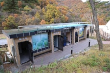 숲속야영장 고캠핑