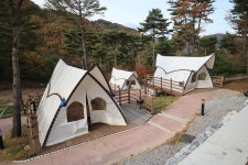 숲속야영장 고캠핑