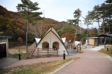 숲속야영장 고캠핑