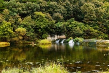 수림 휴원 고캠핑