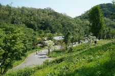 천왕산 가족캠핑장