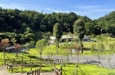 한국관광공사 고캠핑 고캠핑