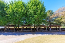 한성연수원 야영장 고캠핑