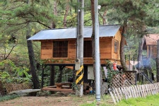 트리하우스계곡야영장