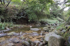 트리하우스계곡야영장 고캠핑