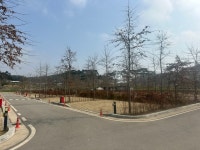 화순 고인돌 오토캠핑장