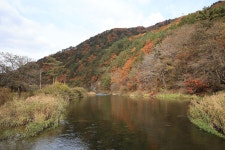 바람부리 별밤 캠핑장