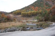 바람부리 별밤 캠핑장