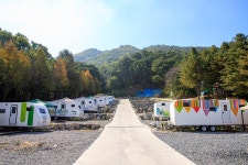 제천카라반&오토캠핑장 더그린