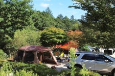 덕동골 오토캠핑장 고캠핑