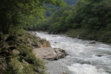 덕동자동차야영장