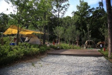 덕산국민여가캠핑장 고캠핑