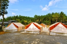 신두리정원오토캠핑야영장 고캠핑