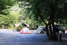 담터 금학캠핑장