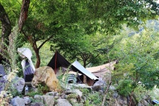 담터 금학캠핑장