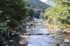 담터 금학캠핑장 고캠핑