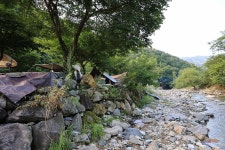 담터 금학캠핑장 고캠핑