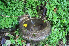 담터 금학캠핑장